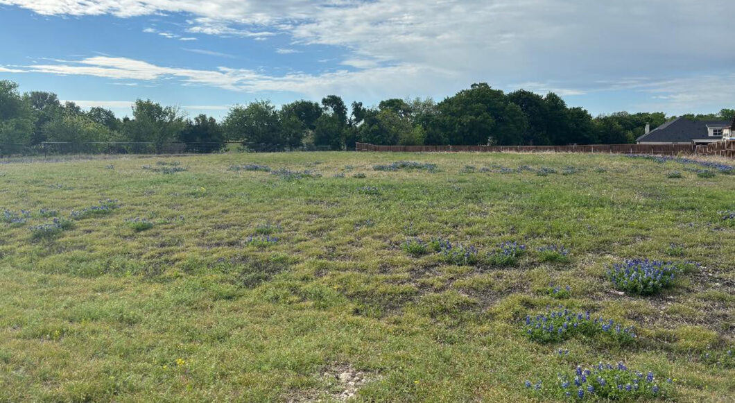 1020 Poppie Ln Lot - bluebonnet pic