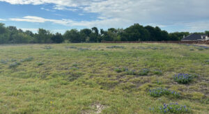 1020 Poppie Ln Lot - bluebonnet pic